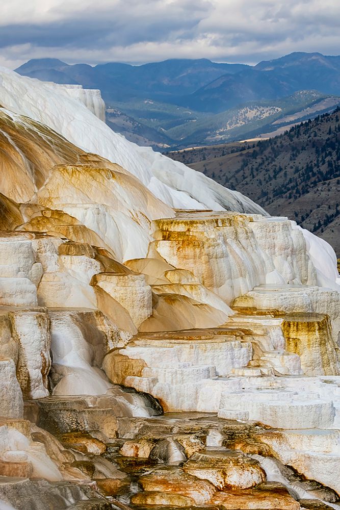 Colorful terrace-Canary Spring-Mammoth Hot Springs-Yellowstone National Park-Wyoming art print by Adam Jones for $57.95 CAD